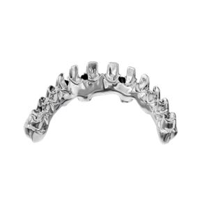 个性化种植桥架及螺钉