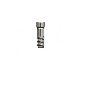 Abutment Screw